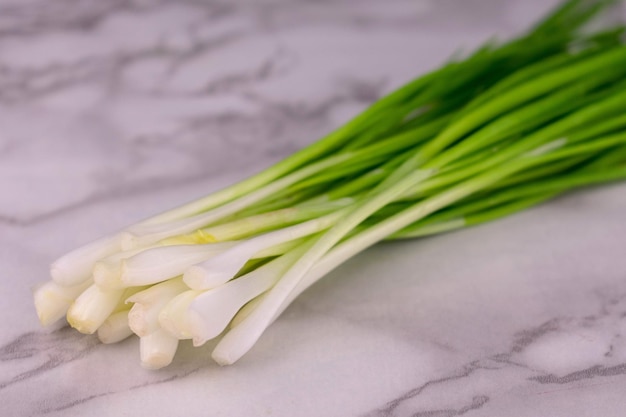 Green onions on a white marble background Closeup