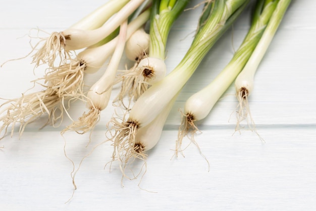 Green onions with roots Close up