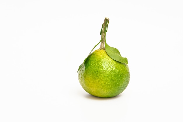 Green oranges lying on a white