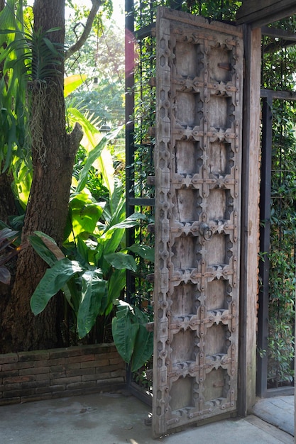 Piante da giardino verdi all'aperto nel resort, foto d'archivio