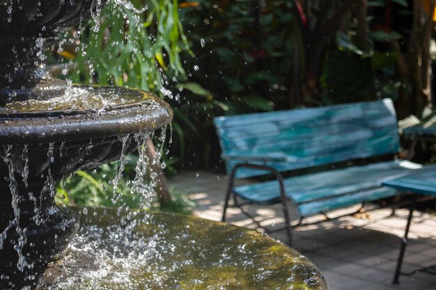 Green outdoors garden plants in resort, stock photo