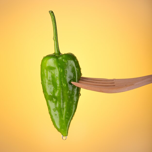 Green padron pepper on orange 