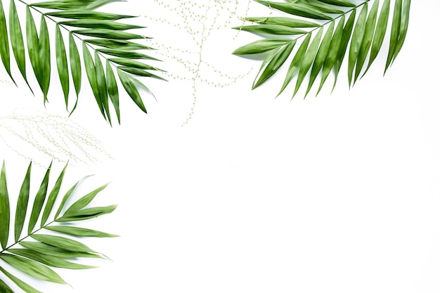 Green palm leaf branches on white background flat lay top view