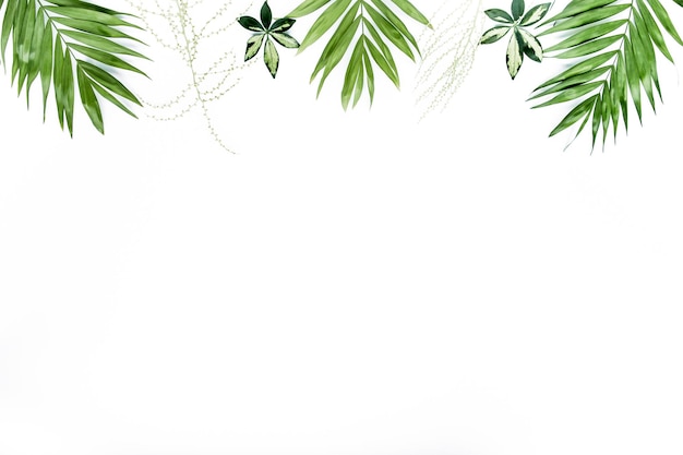 Green palm leaf branches on white background flat lay top view