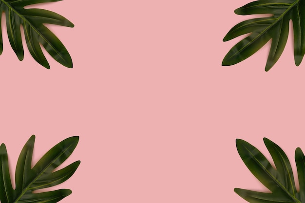 Green palm leaf on a pink background With place for text