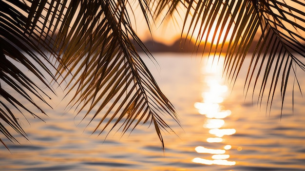 Photo green palm leaves background