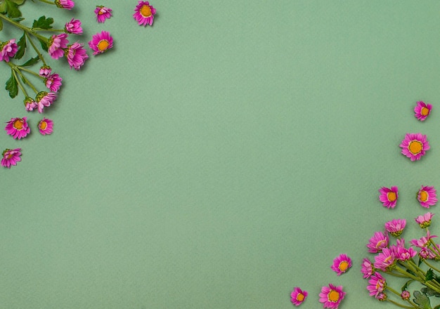 Фото Зеленый бумажный фон с копией пространства и фиолетовыми цветами хризантемы