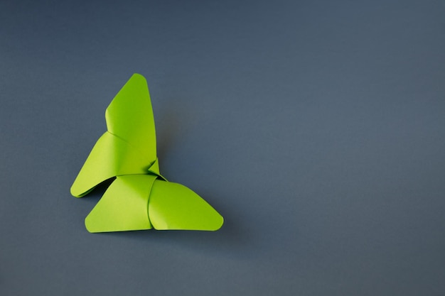 Green paper butterfly origami isolated on a grey background