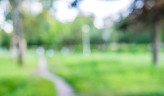 Photo green park blur bokeh nature macro background