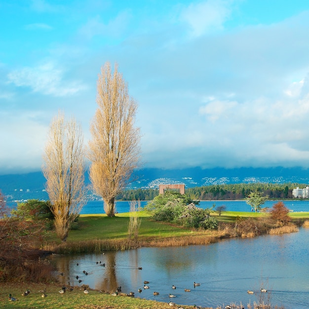 Photo green park near sea front with skyscrapers. vancouver, canada.