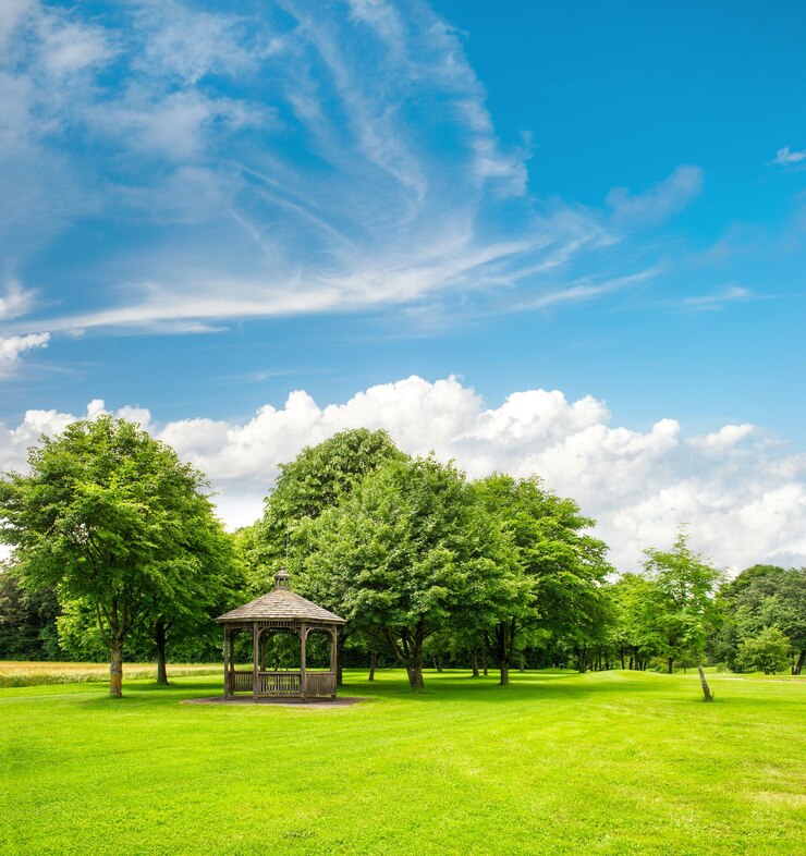 Photo 青い空の上の緑の公園の木