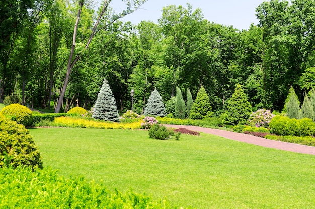 緑豊かな公園