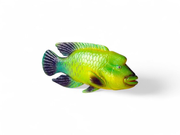 A green parrotfish is displayed on a white background