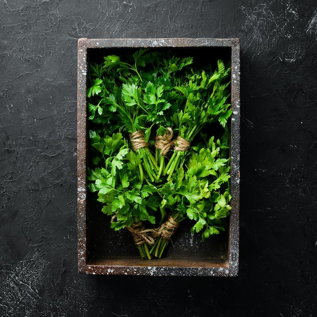 Green parsley on a black stone background Top view Free space for your text