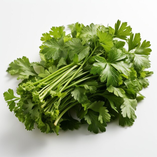 Green Parsley Bunch on White Surface