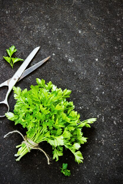 Green parsley on dark table