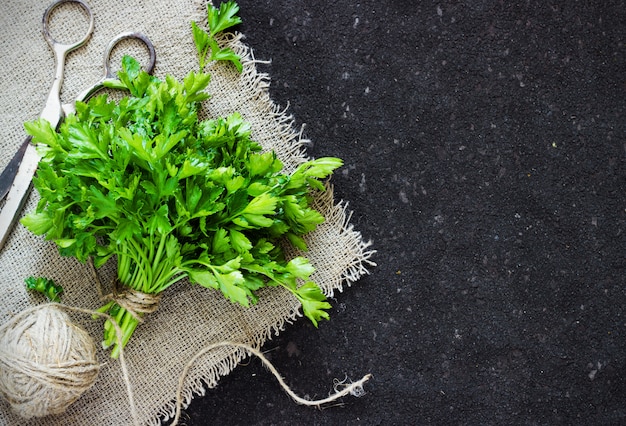 Green parsley on dark table