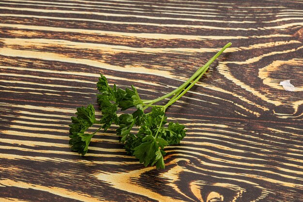 Photo green parsley leaves aroma heap isolated