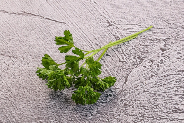 Green parsley leaves heap isolated