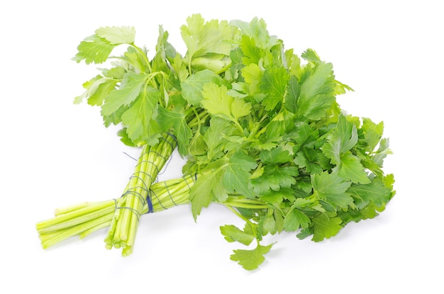 Green parsley