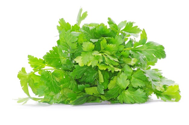 Green parsley