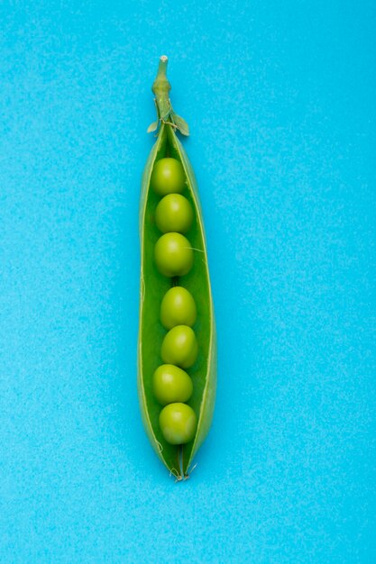 Green pea pod on a blue background