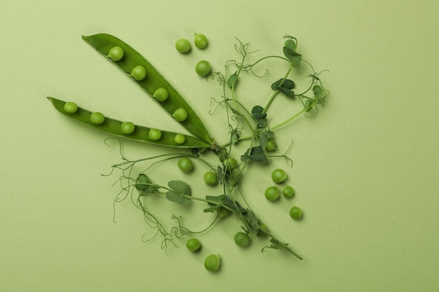 Green pea pods, seeds and twigs on green