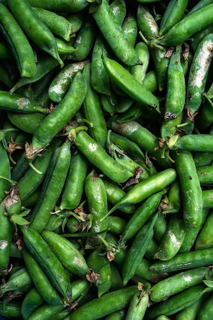 green pea pods unpeeled pile