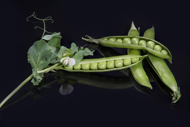 黒の背景に花と緑のエンドウ豆の鞘