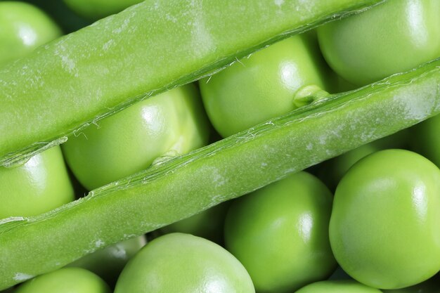 Green peas is fresh in pod and separately, close-up macro