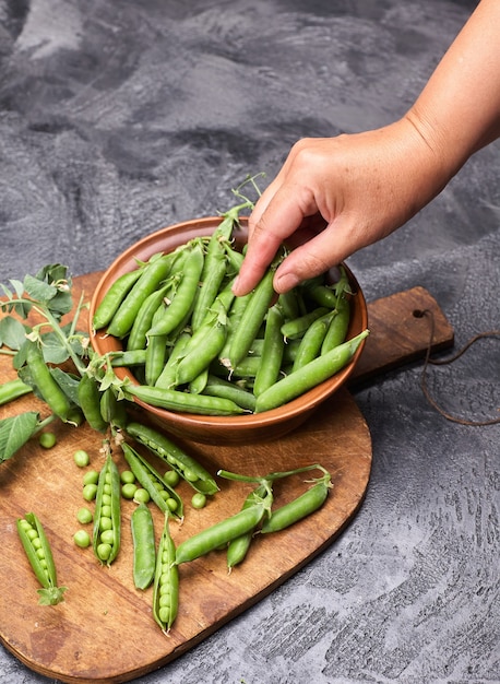 Green peas, pods and peas on a loft gray background. Woman holding green peas in her hands