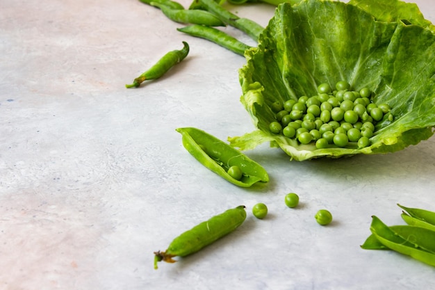 Green peas in pods and scattered on a white light table