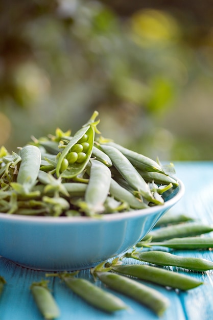 Green peas in pods on a wooden table  in the garden at sunset light