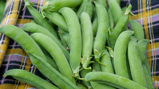 Green peas. ripe pea pods top view