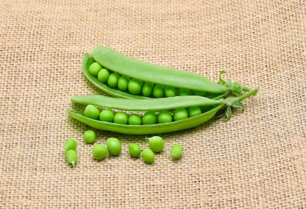 Green peas on rustic fabric background