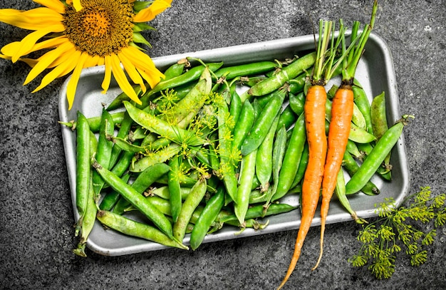 Green peas with carrots on a steel tray.