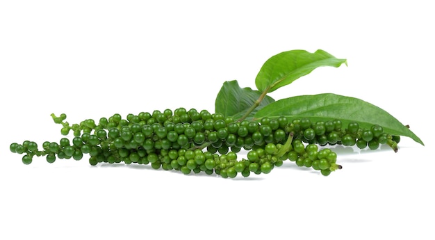 Green peppercorn isolated on the white background