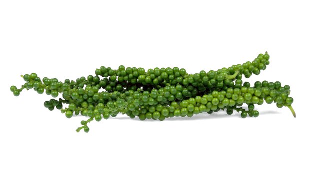 Green peppercorn isolated on the white background