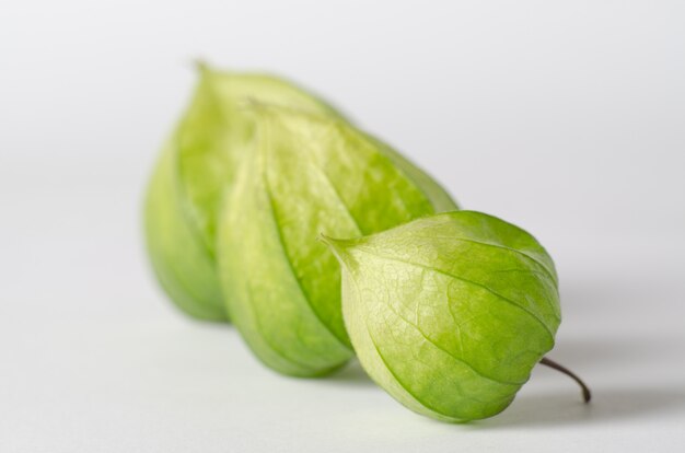 Physalis verde fiori.