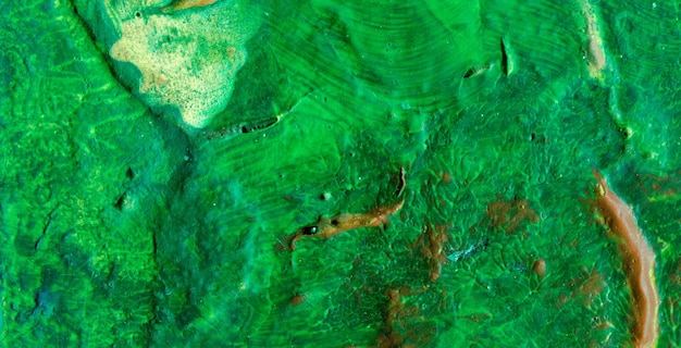 A green piece of paint with a small fish on it