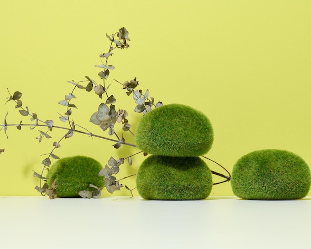 Green pieces of moss and a stage for the demonstration of products cosmetics