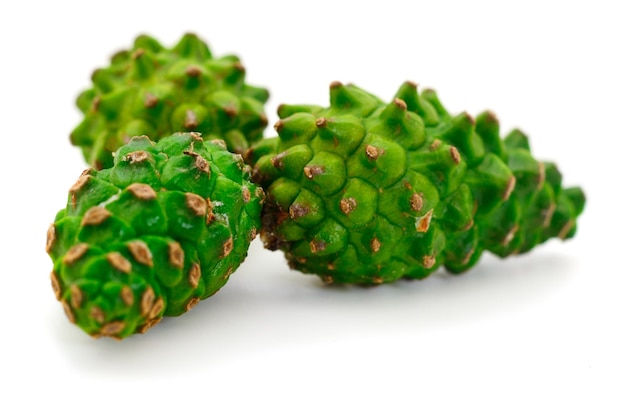 Green pine cone