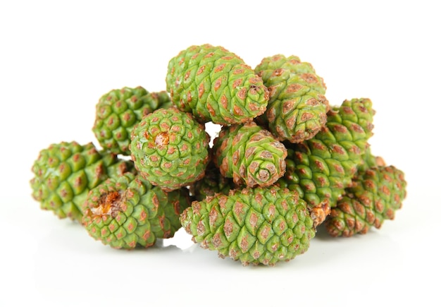 Green pine cones isolated on white