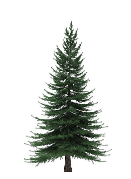 Green Pine kerstboom geïsoleerd op witte achtergrond Banner ontwerp 3D illustratie cg render