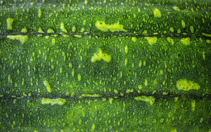 Photo green plant background skin of sponge gourd vegetable on texture