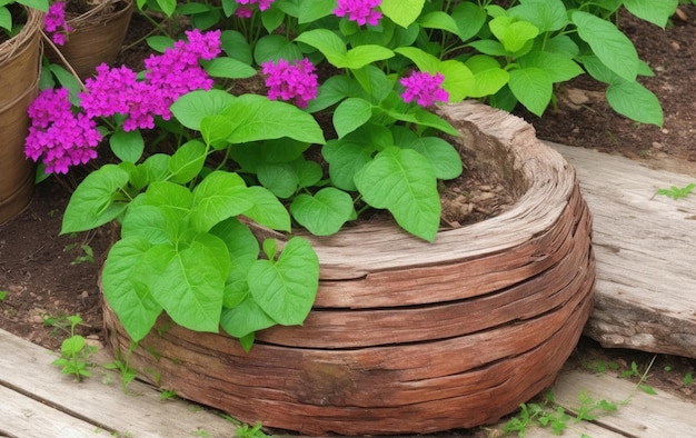 Green plant and flowers growing in a pot of wood Landscaping