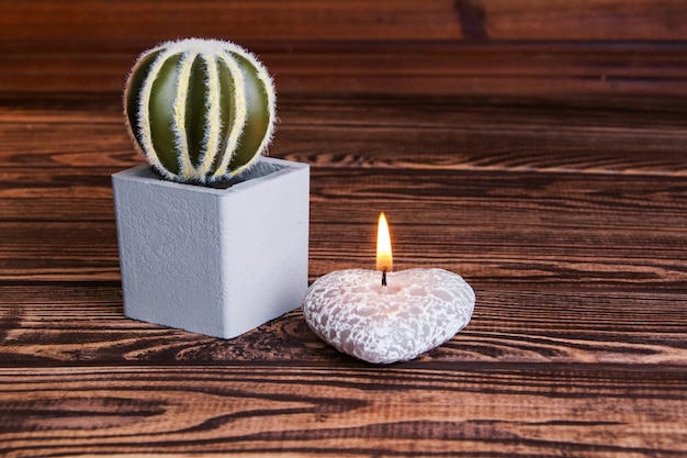 Pianta verde in vaso di fiori grigio su fondo di legno