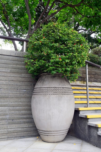 街の通りの大きなコンクリートの花瓶の中の緑の植物