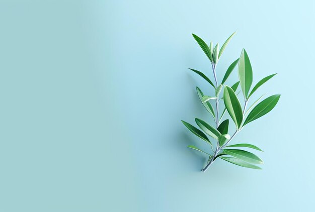 a green plant on a light blue background