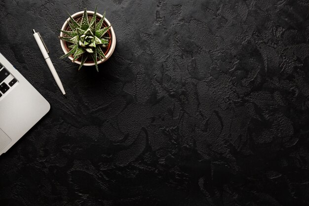 Green plant in a pot, pen and modern silver laptop on dark background.